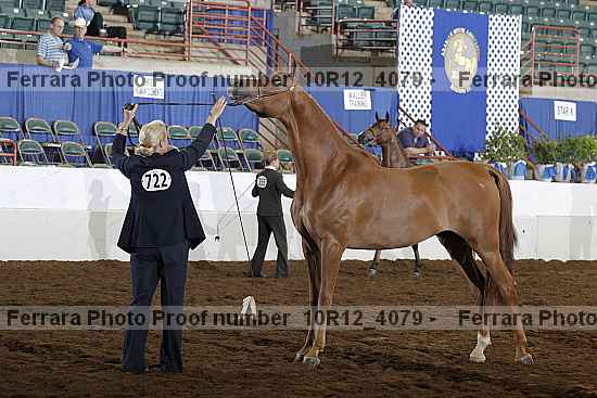 Proof Number 10r12_4079