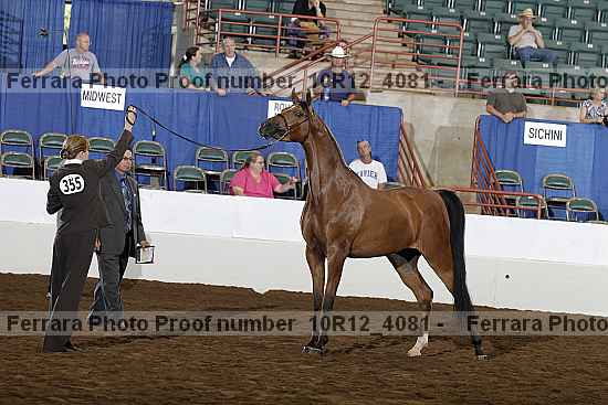 Proof Number 10r12_4081