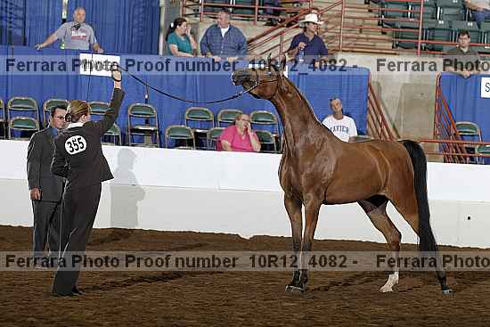 Proof Number 10r12_4082