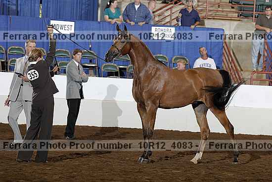 Proof Number 10r12_4083