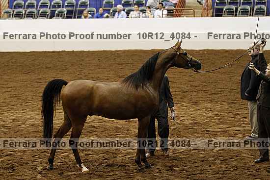 Proof Number 10r12_4084