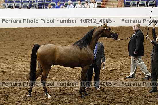 Proof Number 10r12_4085