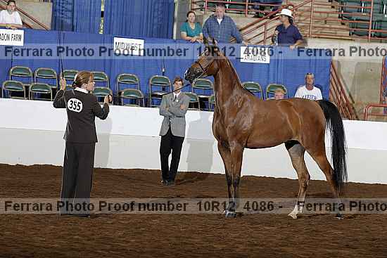 Proof Number 10r12_4086