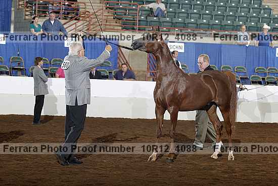 Proof Number 10r12_4088