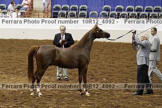 Proof Number 10r12_4092