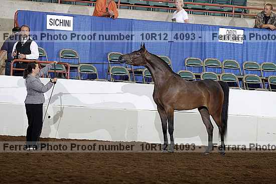 Proof Number 10r12_4093