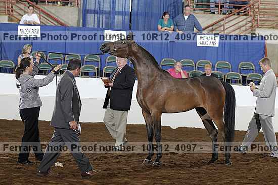 Proof Number 10r12_4097