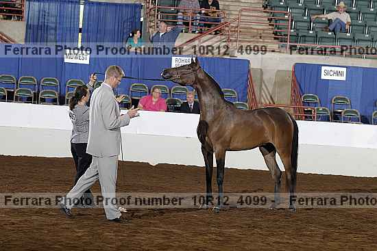 Proof Number 10r12_4099