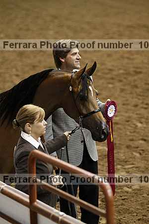 Proof Number 10r12_4100