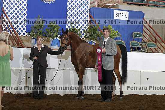 Proof Number 10r12_4101