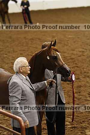 Proof Number 10r12_4108