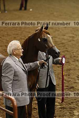 Proof Number 10r12_4110