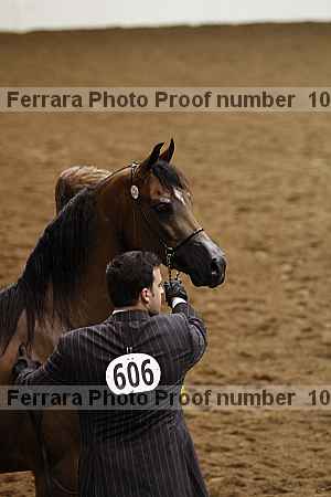 Proof Number 10r12_4111