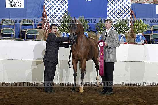 Proof Number 10r12_4113