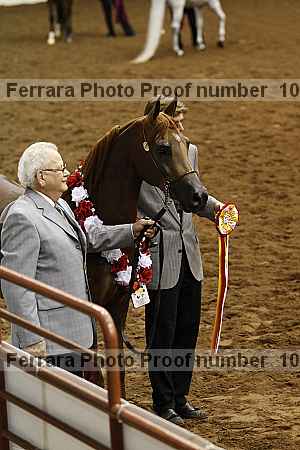 Proof Number 10r12_4114