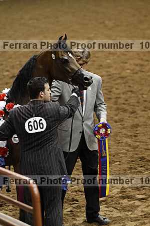 Proof Number 10r12_4119