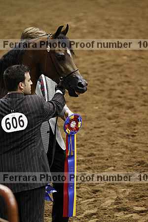 Proof Number 10r12_4120