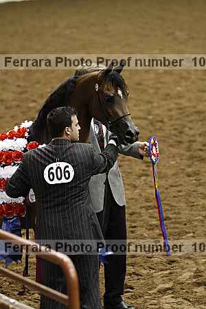 Proof Number 10r12_4125