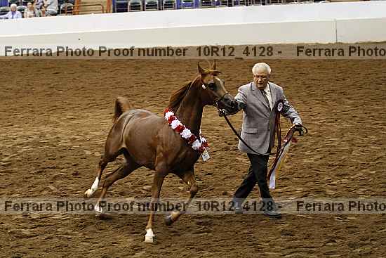 Proof Number 10r12_4128