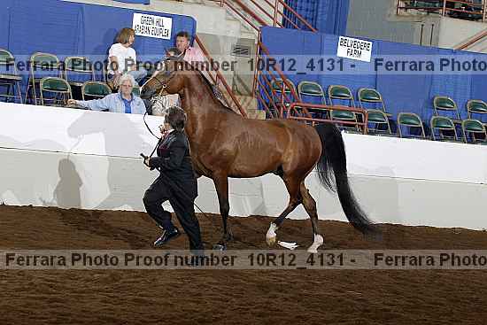 Proof Number 10r12_4131