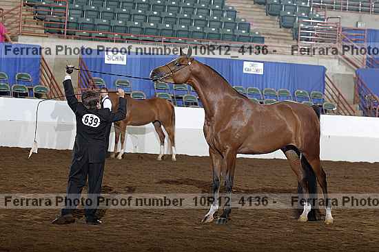 Proof Number 10r12_4136