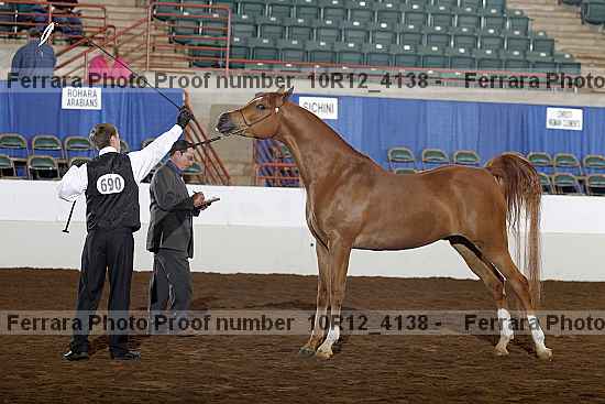 Proof Number 10r12_4138