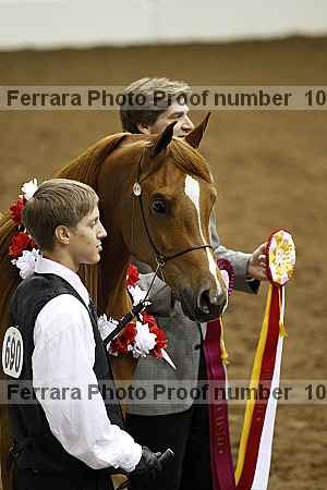Proof Number 10r12_4141