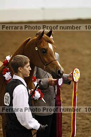 Proof Number 10r12_4142