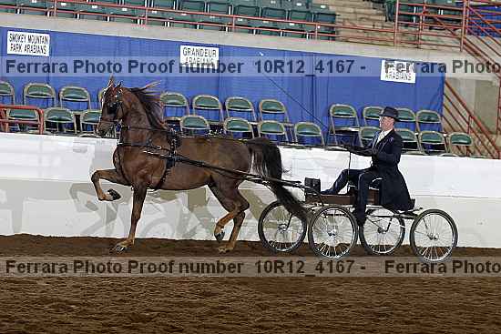 Proof Number 10r12_4167