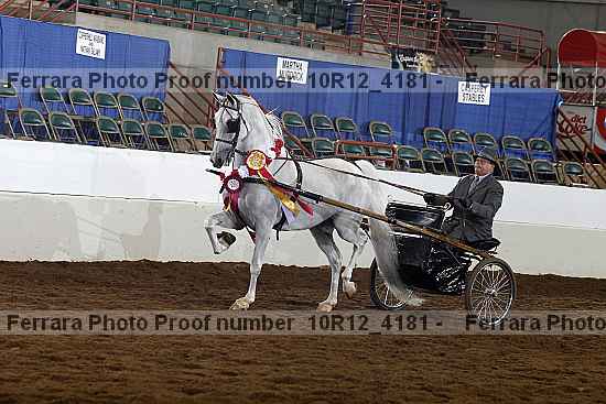 Proof Number 10r12_4181