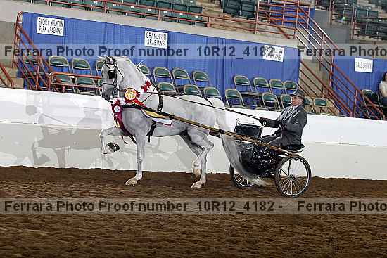 Proof Number 10r12_4182