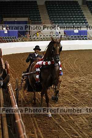 Proof Number 10r12_4186