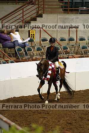Proof Number 10r12_4217