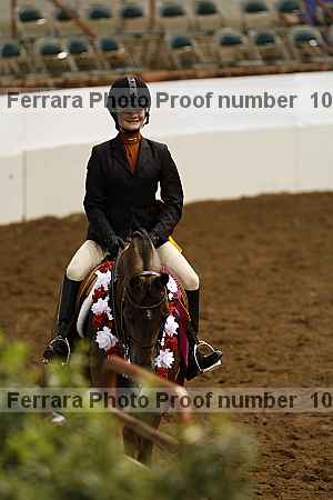 Proof Number 10r12_4219