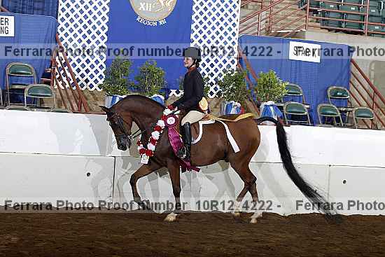 Proof Number 10r12_4222