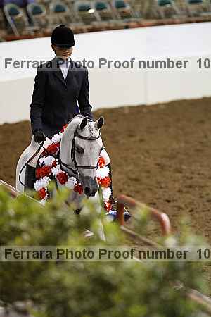 Proof Number 10r12_4223