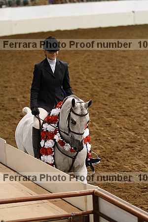 Proof Number 10r12_4226
