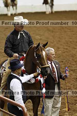 Proof Number 10r12_4242
