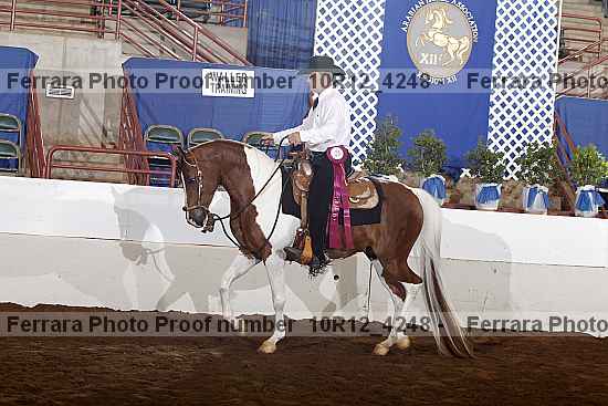 Proof Number 10r12_4248