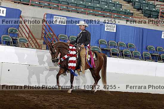 Proof Number 10r12_4255