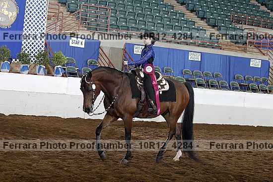 Proof Number 10r12_4284