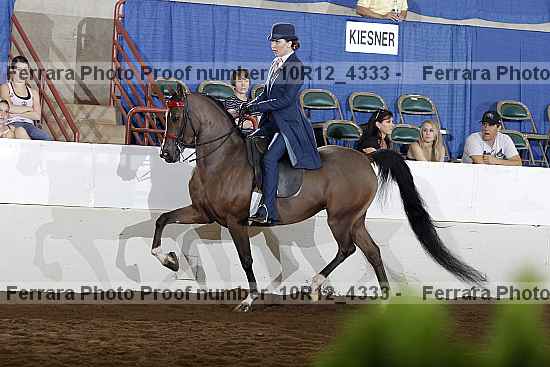 Proof Number 10r12_4333