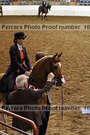 Proof Number 10r12_4338