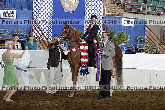 Proof Number 10r12_4340
