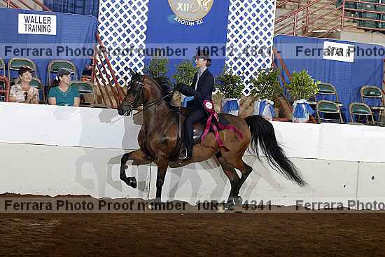 Proof Number 10r12_4341
