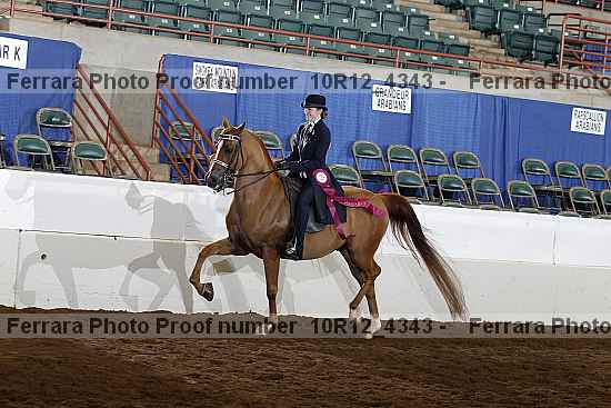 Proof Number 10r12_4343