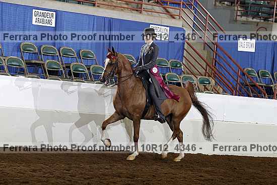 Proof Number 10r12_4346