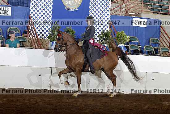 Proof Number 10r12_4347