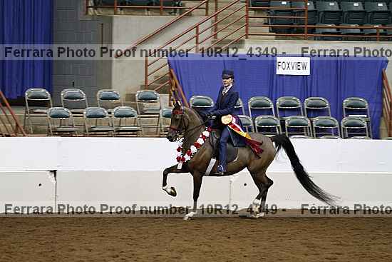 Proof Number 10r12_4349