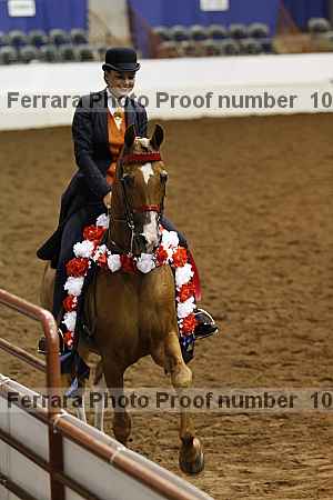 Proof Number 10r12_4356